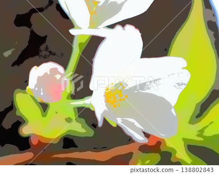 櫻花樹(Satozakura,園藝品種,afr20260330144659)的花朵和花蕾 櫻花樹(Satozakura,園藝品種,afr20260330144659)的花朵和花蕾 138802843