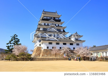 [Hiroshima Prefecture] Fukuyama Castle in spring with cherry blossoms (after reconstruction) Fukuyama Castle Cherry Blossom Festival 138803466