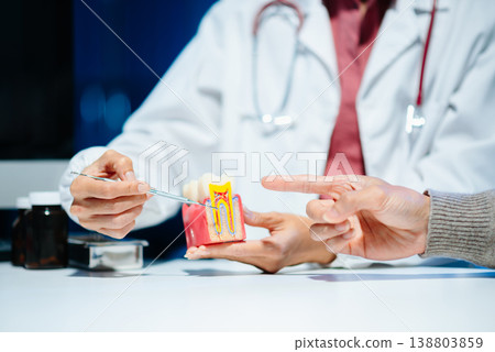 The dentist explains dental care using a model with a smiling patient. The dentist explains dental care using a model with a smiling patient. 138803859