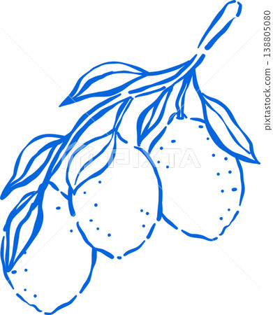 Hand drawn Lemon Outline with stem and leaf Whimsical Doodle 138805080