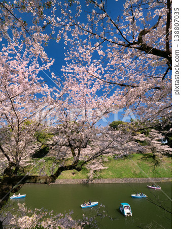 東京千鳥淵櫻花大道 138807035