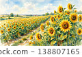 夏季向日葵花田風景插畫（水彩，藍天，鄉村景色） 138807165