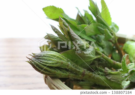 Freshly picked wild vegetables, a taste of spring Freshly picked wild vegetables, a taste of spring 138807184