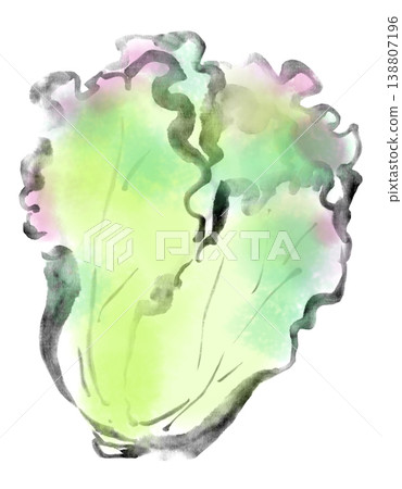 水墨插畫:陽光生菜 水墨插畫:陽光生菜 138807196