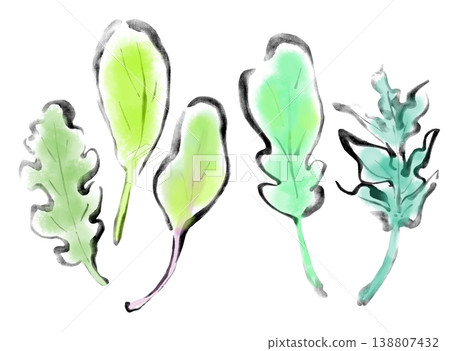 Ink painting illustration, sumi-e (ink painting), baby leaf 138807432