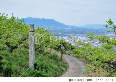 高野山町石通163町[和歌山縣工藤山町] 138807824