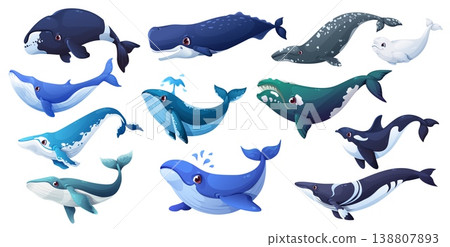 Cartoon whale animal characters of vector cute blue, grey and fin, sperm, humpback and bowhead whales, orca and beluga. Giant sea and ocean mammal animal characters spouting water with happy smiles 138807893