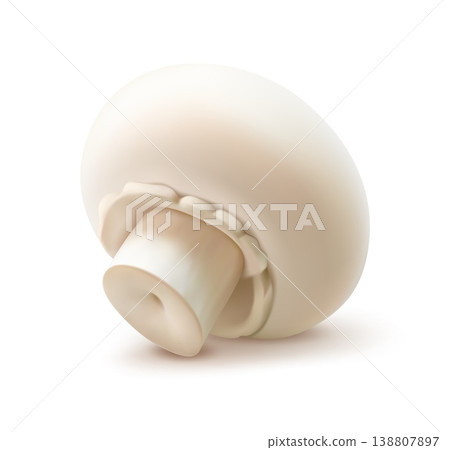 Realistic raw champignon mushroom vegetable food, vector isolated 3D object with shadow. Realistic whole white champignon mushroom or edible fungi agaricus for cuisine cooking vegetable ingredient 138807897