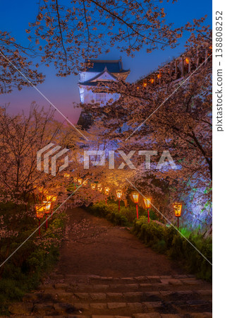 在Tsuyama城堡的櫻花 在Tsuyama城堡的櫻花 138808252