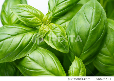 Fresh basil leaves macro texture natural 138808324