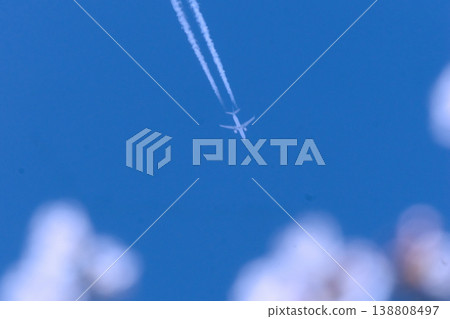 藍天白雲間，飛機翱翔，白梅盛開。 138808497