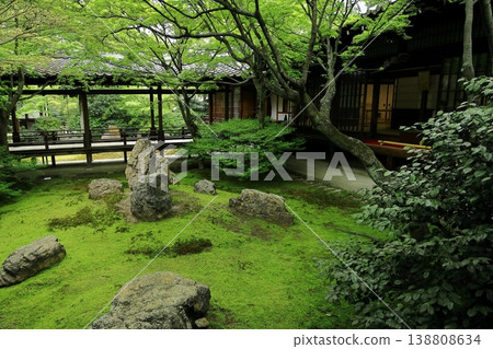 Chōon-tei Garden, a Hojo Garden at Kennin-ji Temple 138808634
