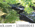 與布魯克斯景觀 138808643