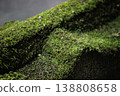 美麗的苔蘚景觀 138808658