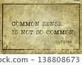 common sense Voltaire 138808673