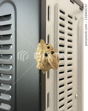 Mud Wasp Nest Built On The Back Of A Kitchen Oven Equipment Mud Wasp Nest Built On The Back Of A Kitchen Oven Equipment 138808787