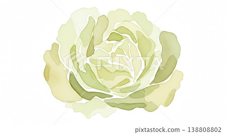 一幅柔和的水彩插畫,描繪了新鮮、鮮豔的生菜。自然的蔬菜形象,筆觸輕柔。 一幅柔和的水彩插畫,描繪了新鮮、鮮豔的生菜。自然的蔬菜形象,筆觸輕柔。 138808802