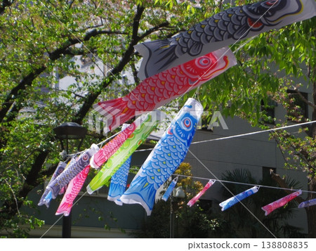 Scenery with carp streamer Scenery with carp streamer 138808835