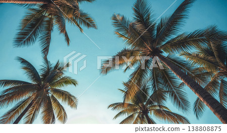 Vintage retro style tropical palm trees looking up clear blue sky summer vacation background idyllic paradise island destination relaxing travel holiday concept Vintage retro style tropical palm trees looking up clear blue sky summer vacation background idyllic paradise island destination relaxing travel holiday concept 138808875