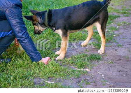 Owner gives some food to the dog during a walk 138809039