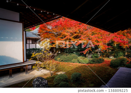 Nov 24 2025 Red Maple Leaves Covering Path at Genko an Temple Kyoto 138809225
