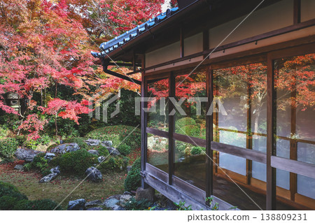 Nov 24 2025 Maple garden view framed by Genkoan temple window Nov 24 2025 Maple garden view framed by Genkoan temple window 138809231