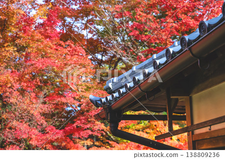Nov 24 2025 Autumn Landscape Surrounding Historic Japanese Architecture, Genko an Temple 138809236