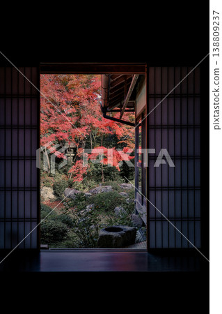 Nov 24 2025 Maple garden view framed by Genkoan temple window 138809237