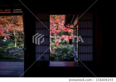 Nov 24 2025 Maple garden view framed by Genkoan temple window Nov 24 2025 Maple garden view framed by Genkoan temple window 138809243