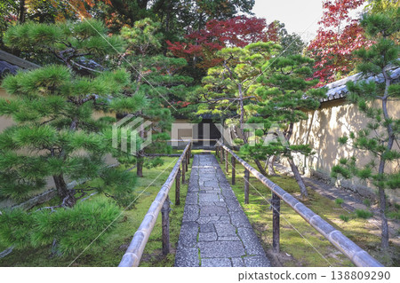 Soft Sunlight Filters Through Autumn Trees At Daitoku ji Temple Nov 24 2025 Soft Sunlight Filters Through Autumn Trees At Daitoku ji Temple Nov 24 2025 138809290