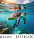 Ocean conservation, climate conscious summer living. Sea turtle swimming gracefully in clear ocean water, sunlight filtering through surface 138810250