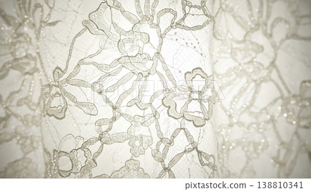 Intricate white lace fabric with floral patterns and beaded details, showcasing delicate craftsmanship and texture suitable for fashion or home decor applications Intricate white lace fabric with floral patterns and beaded details, showcasing delicate craftsmanship and texture suitable for fashion or home decor applications 138810341