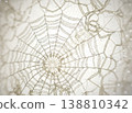 Close-up view of intricate spider web with delicate patterns and fine threads illuminated by soft light against a blurred background 138810342