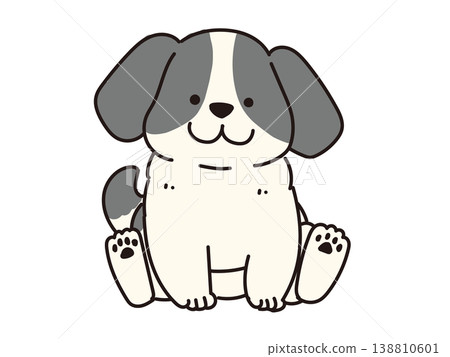An illustration of a cute black and white Spaniel dog sitting down. An illustration of a cute black and white Spaniel dog sitting down. 138810601