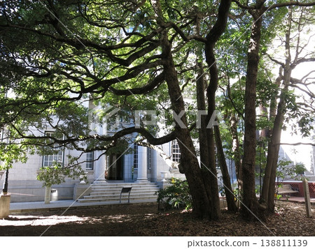 橫濱港開港博物館(原英國總領事館)舊址和玉木樹。 橫濱港開港博物館(原英國總領事館)舊址和玉木樹。 138811139