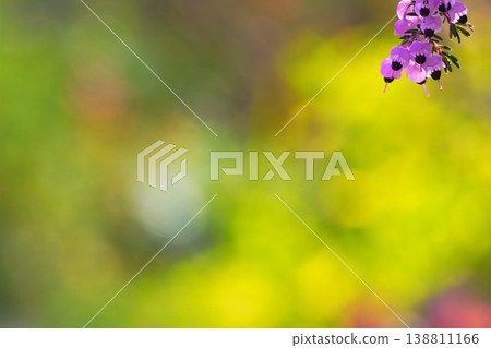 Colorful bokeh and floral abstract background Colorful bokeh and floral abstract background 138811166