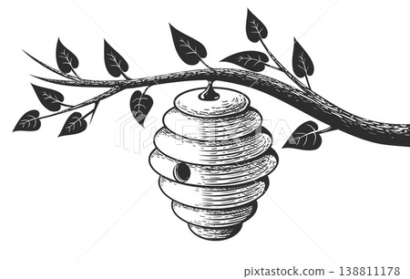 Beehive on branch engraving Beehive on branch engraving 138811178