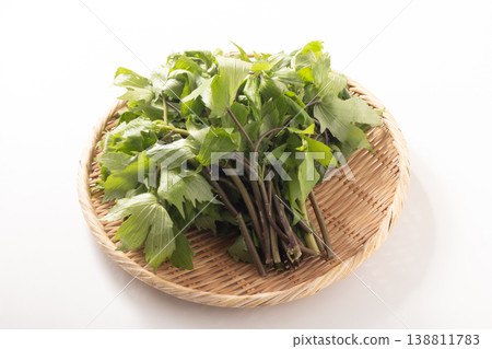 [Produced in Toshima Village, Tokyo] Shidoke (high-grade wild vegetable) 138811783
