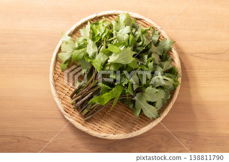 [Produced in Toshima Village, Tokyo] Shidoke (high-grade wild vegetable) 138811790