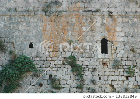 Ancient stone wall with wild capers in Mali Ston Ancient stone wall with wild capers in Mali Ston 138812849