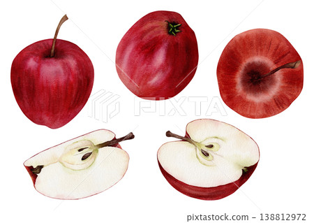 Watercolor red apple collection with whole fruit and slices, hand painted botanical food illustration isolated on white background, design elements for packaging, labels, menus and juice branding Watercolor red apple collection with whole fruit and slices, hand painted botanical food illustration isolated on white background, design elements for packaging, labels, menus and juice branding 138812972