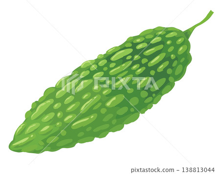 Bitter gourd 138813044