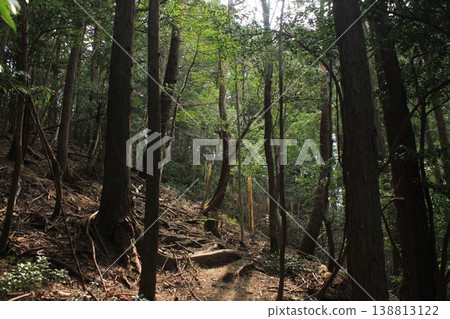 hiking trail in the mountains 138813122