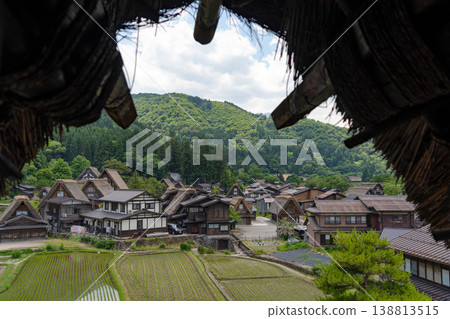 Traditional rice fields and gassho houses in Shirakawa-go village, Japan Traditional rice fields and gassho houses in Shirakawa-go village, Japan 138813515