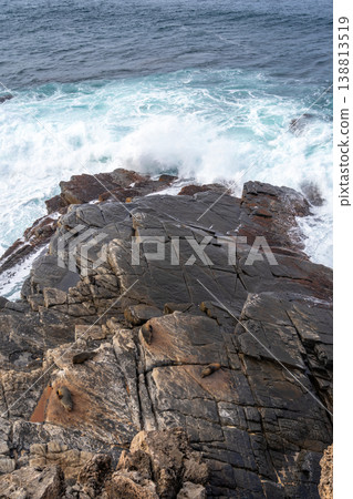 Seals resting on rocks at Cape Du Couedic, Flinders Chase, Australia Seals resting on rocks at Cape Du Couedic, Flinders Chase, Australia 138813519