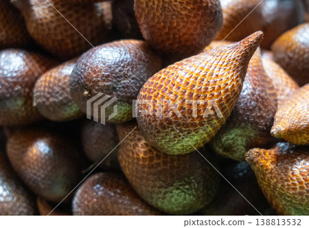 Snake fruits at Bolu market in Rantepao, Toraja, Sulawesi, Indonesia Snake fruits at Bolu market in Rantepao, Toraja, Sulawesi, Indonesia 138813532