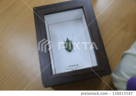 Specimen 138813587