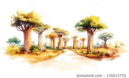 Avenue of the Baobabs. Avenue of the Baobabs hand drawn watercolor illustration on white background 138813758