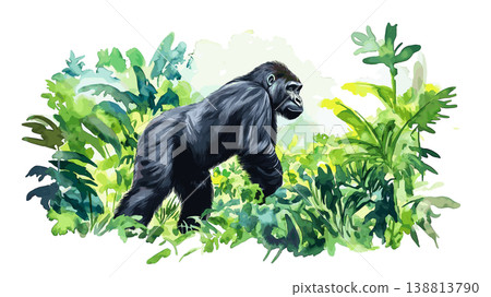Bwindi Impenetrable Forest - Gorilla Trekking. Bwindi Impenetrable Forest - Gorilla Trekking hand drawn watercolor illustration on white background 138813790