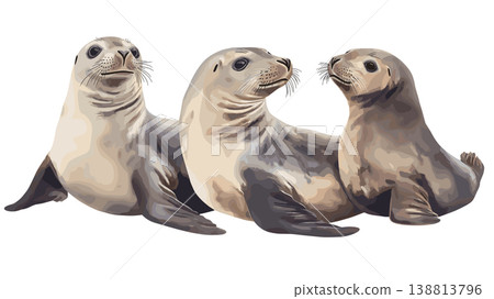 Cape Cross Seal Colony. Cape Cross Seal Colony hand drawn watercolor illustration on white background Cape Cross Seal Colony. Cape Cross Seal Colony hand drawn watercolor illustration on white background 138813796